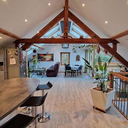 Bel Appartement 120 M² Tres Lumineux Avec Terrasse Morvillars Exterior foto